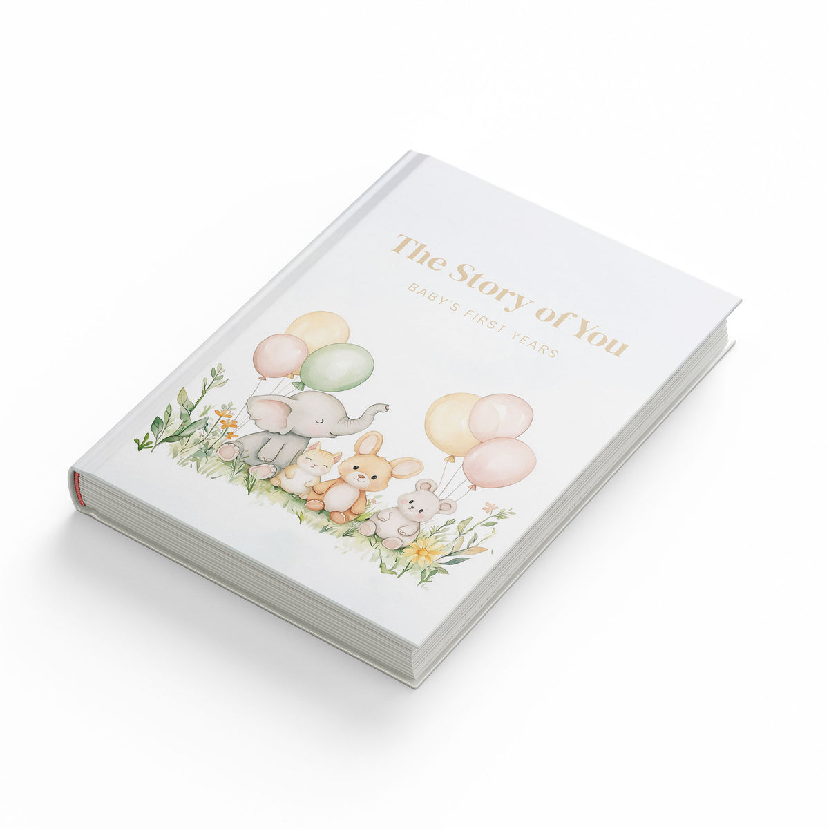 Baby Memory Book