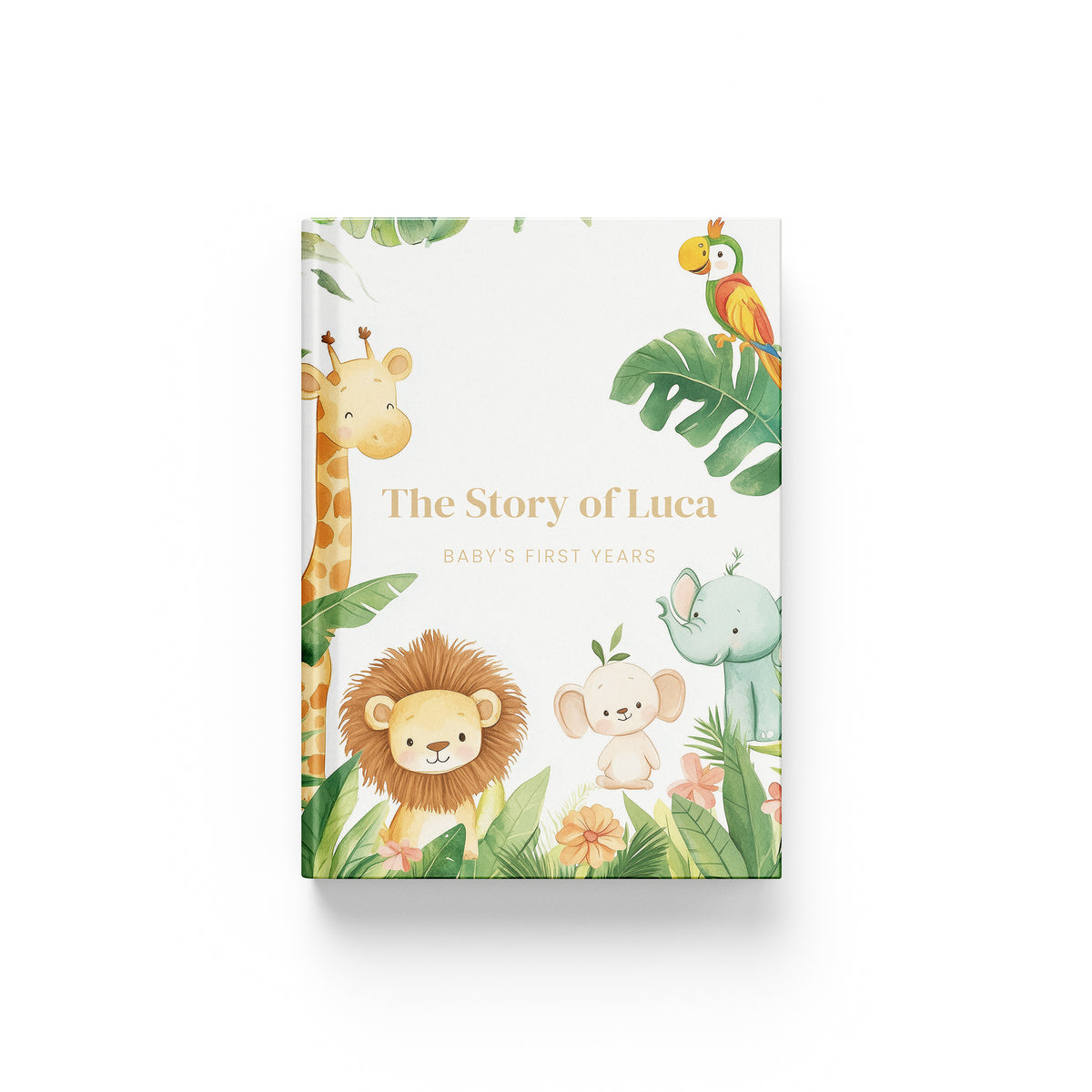 Baby Memory Book