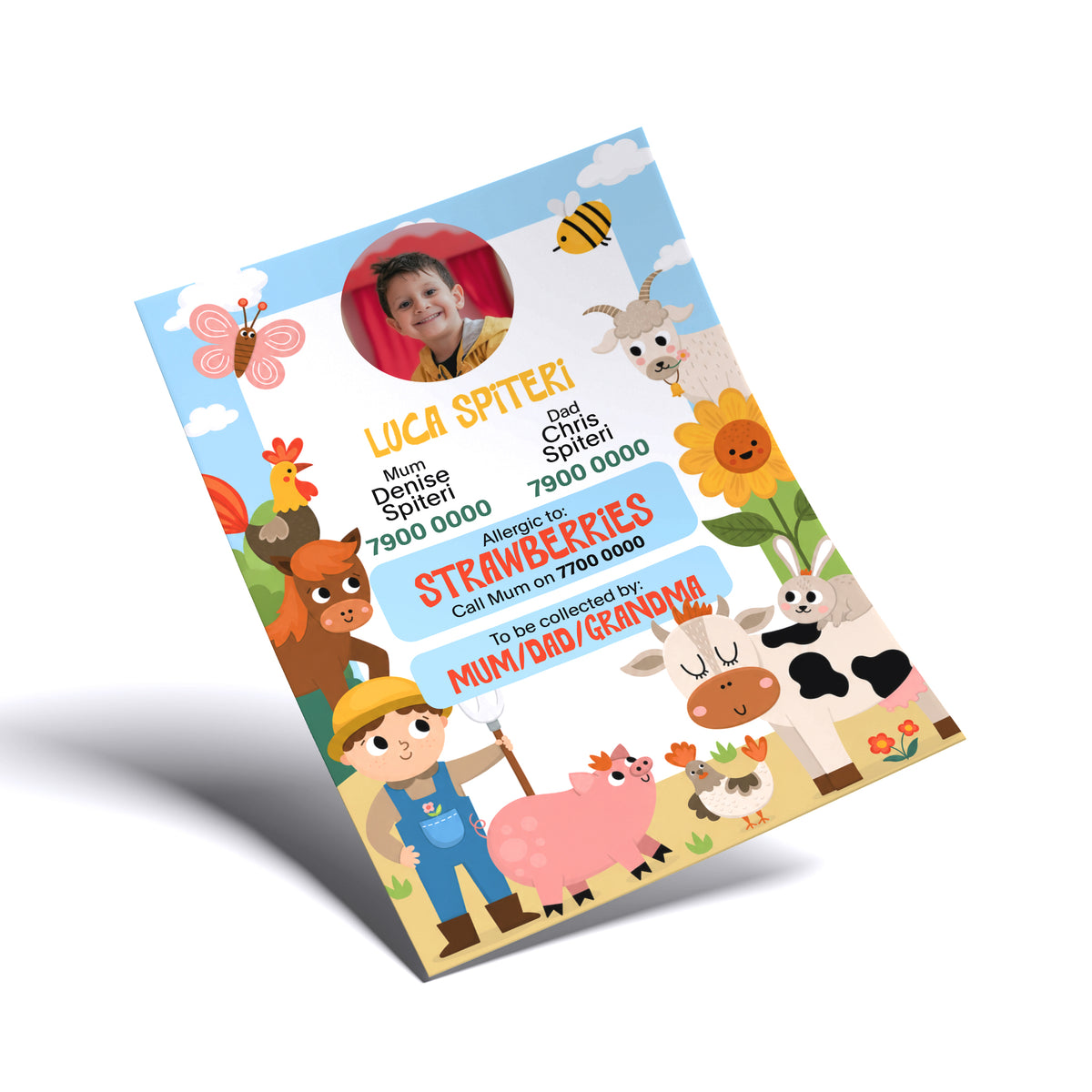 Allergy Card